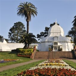 GoldenGatePark